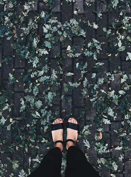 Herbst. das Mädchen läuft entlang der grünen Herbstblätter. Senkrechtschuss. — Stockfoto