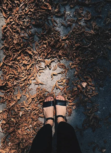 Herbst. das Mädchen läuft entlang der gelben Herbstblätter. Senkrechtschuss. — Stockfoto