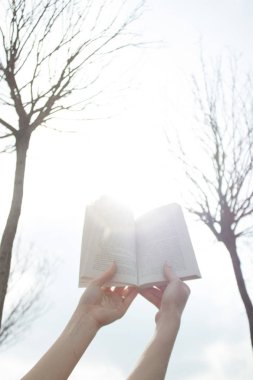 Eller kitap doğa arka planı tutun. Dikey vurdu.