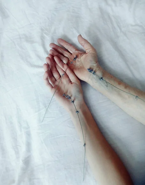 As mãos de uma mulher jovem e idosa estendem a mão um a outro. Tiro vertical . Fotos De Bancos De Imagens