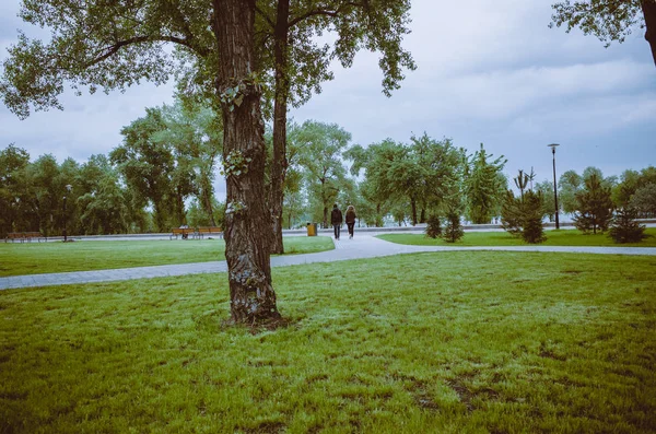 Panorama of green city park. A young couple walks in the background.