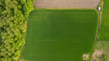 Nehir ve alanlar üst görünüm. Drone 'dan fotoğraflandı. Agropolis güzel görünümü. Bahar. Yeşil alanlar.