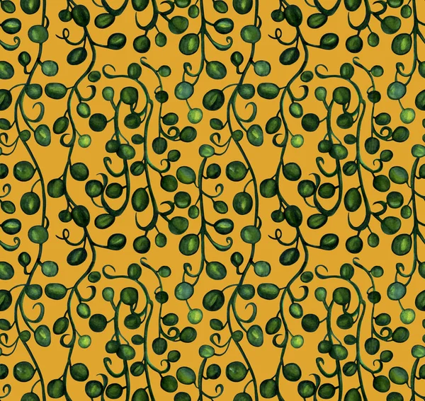 줄기와 물감그리기 노란색 배경에서 식물학적 포장지 디자인 — 스톡 사진