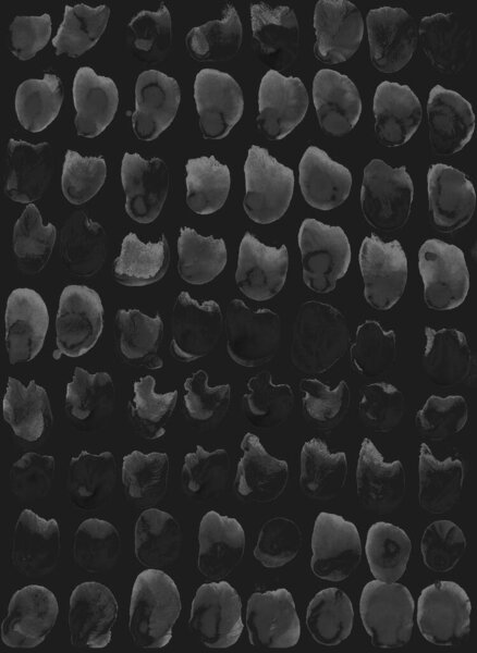 Отпечатки животных с точками и перьями. Просто черный акварельный фон, безморщинистый узор. Скандинавский стиль, дизайн обоев, ткани, текстиля, оберточной бумаги.