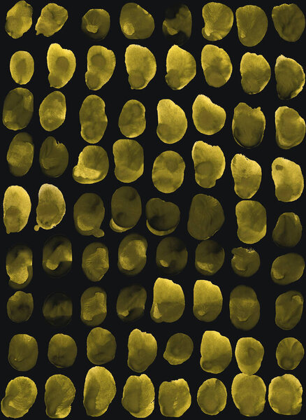 Просто желтый фон, узор без швов. Акварельные пятна, круглые пятна. Дизайн для фона, обоев, чехлов, оберточной бумаги и упаковки. 