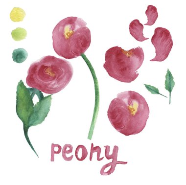 Çiçekler, tomurcuklar, dallar, paletler ve harflerle süslü şakayık seti. Botanik resim, beyaz arka planda izole edilmiş suluboya. Posterler, duvar kağıtları, kapaklar, ambalajlar, ambalajlar için tasarım.