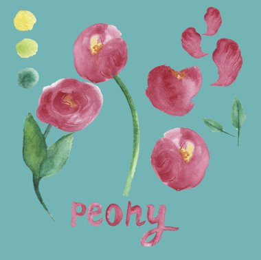 Çiçekler, tomurcuklar, dallar, paletler ve harflerle süslü şakayık seti. Botanik resim, turkuaz arka planda izole edilmiş suluboya. Posterler, duvar kağıtları, kapaklar, ambalajlar, ambalajlar için tasarım.