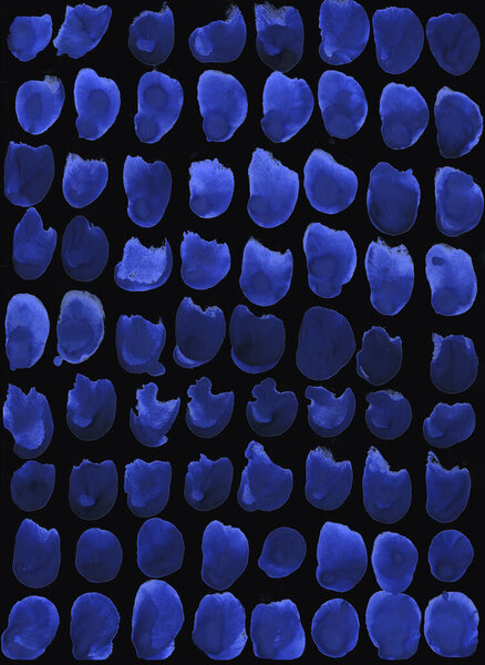 Отпечатки животных с точками и перьями. Просто черно-синий акварельный фон. Скандинавский стиль, дизайн обоев, ткани, текстиля, оберточной бумаги.