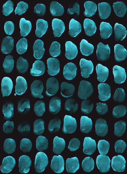 Отпечатки животных с точками и перьями. Просто бирюзовый акварельный фон. Скандинавский стиль, дизайн обоев, ткани, текстиля, оберточной бумаги.