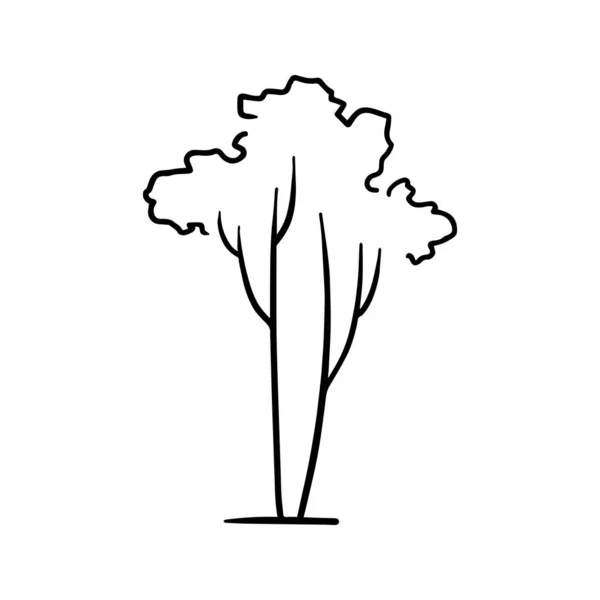 Delinear Árvore Dupla Isolada Fundo Branco Ilustração Vetorial — Vetor de Stock