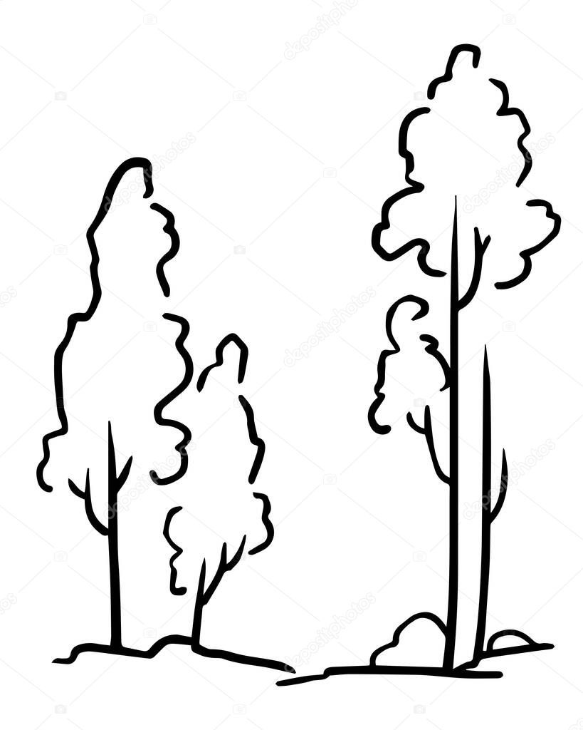 Outline landscape. There are long trees. Vector illustration