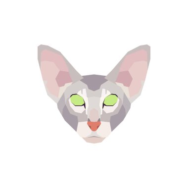 Düşük polimer doğulu Shorthair kedi kafası. Vektör illüstrasyonu