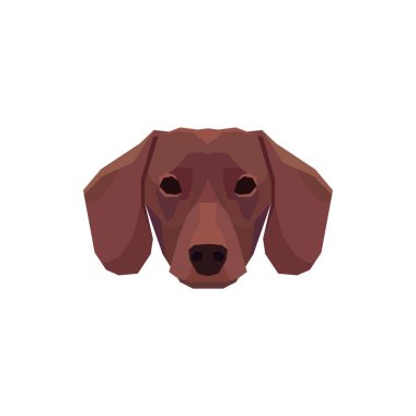 Düşük poligonlu Dachshund kafası. Vektör illüstrasyonu