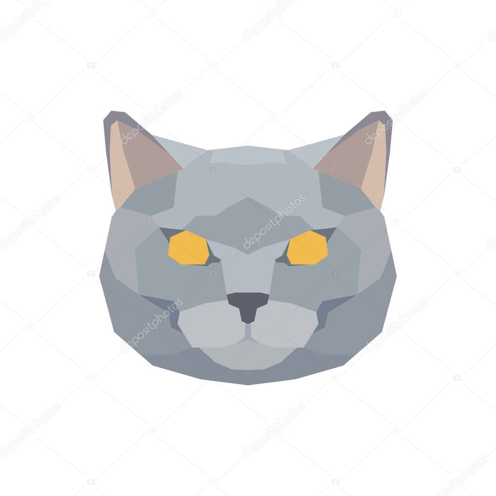 Low poly British Shorthair cat head. Vector illustration