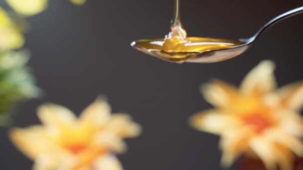 Bio rafinat produs natural de albine, miere lichidă sănătoasă care scade din lingură pe fundal floral. Produs eficient pentru cosmetologie și terapie de îngrijire a corpului. Miere de aur picurare — Videoclip de stoc