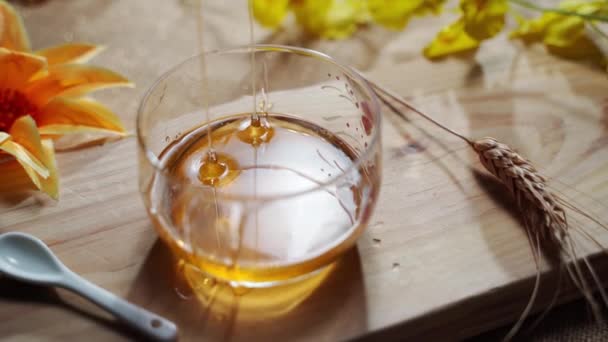 Розливання і перемішування золотистого рідкого бджолиного меду в прозору банку з дерев'яною паличкою, виробництво натуральних продуктів в сільській місцевості. Активність на виноградарство, вітаміни та здорове харчування — стокове відео