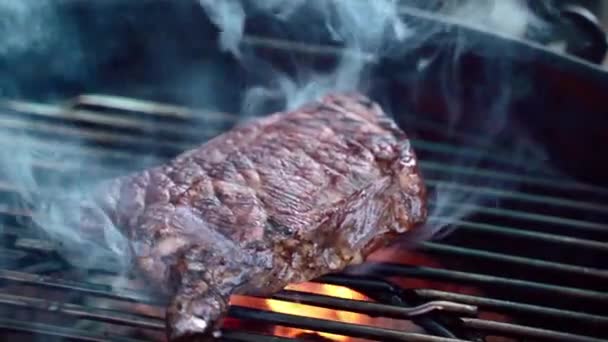 Processo di preparazione barbecue picnic all'aperto, arrostire e friggere succose bistecche di carne e hamburger con fuoco ardente e fumo sulla griglia barbecue, carboni ardenti e fiamme arancioni. Concetto griglia barbecue — Video Stock