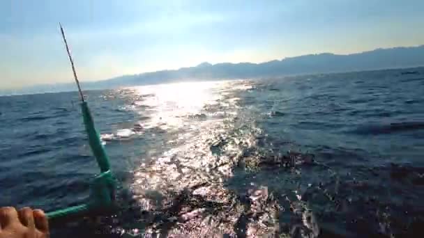 Kite surfen concurrentie in verbazingwekkende zee zonsondergang, professionele mannelijke surfer met zijn gele professionele vlieger en rijden op het water doen verschillende sport manoeuvres. Competitieve watersport — Stockvideo