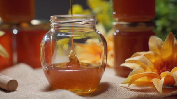 Hoge kwaliteit gouden honing in glazen potten op traditionele rustieke beurs. Zuiver natuurlijk product vol vitaminen, bio-ingrediënt voor vagans. Dikke zoete bloemhoning nectar — Stockvideo