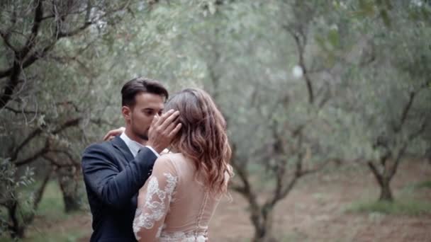 Increíble marco cinematográfico de pareja joven enamorada entre los olivos de la plantación. Hombre guapo en traje azul oscuro mirando a su hermosa dama en vestido de encaje y tocando su pelo rizado y — Vídeos de Stock