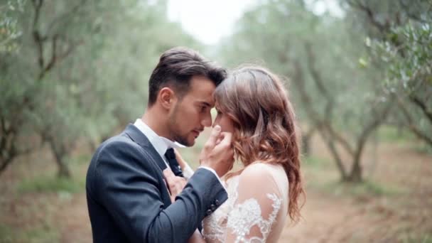 Retrato de cerca de una mujer bonita en vestido de novia de encaje y un hombre guapo en traje mirándose a los ojos, abrazándose y abrazándose. joven feliz pareja en el amor disfrutando el uno del otro en el fondo de — Vídeos de Stock