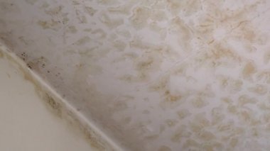 Üst komşulardan gelen su sızıntısı apartmanın alçı tavanını tahrip ediyor, yüzeye zarar veriyor ve bir sürü kirli leke bırakıyor. Tavanda ıslak küf oluşumu süreci, terk edilmiş eski bir daire.