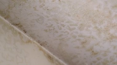 Dairenin tavanında kirli kahverengi lekeler oluşmuş. Islak küf çatısı zarar vermiş. Küflenmiş tavan sıvası, su çatlakları oluşumu. Sızıntı apartman duvarlarını, su damlalarını ve baloncukları yok ediyor