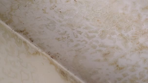 Formación de manchas marrones sucias en el techo del apartamento, techo dañino moho. Molde destruyendo yeso de techo, formación de grietas de agua. Fuga que destruye las paredes del apartamento, gotas de agua y burbujas — Vídeos de Stock