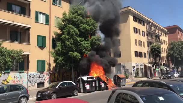 ROME, ITALY - JUNE 18, 2020: Perubahan iklim total yang mengarah ke pemanasan abnormal dan pohon api dan wadah sampah plastik di jalan Roma. Suhu tinggi menyebabkan pemanasan global dan — Stok Video