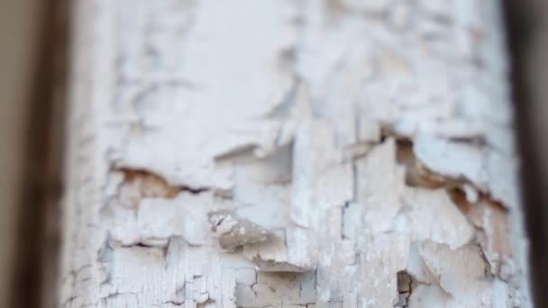 Construction industry, old abandoned house with weathered building exterior, cracked and peeled white paint on wooden surface. Shabby building exterior surface — Stock Video