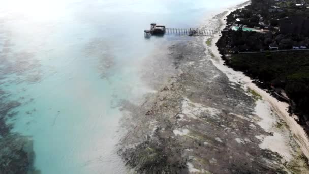 Flygfoto över fantastiska indiska havet stim täckt med ett stort antal gröna alger vatten, berömda Zanzibar resort med strandlinje och träbro bland vattnet. Turister attraktion i Tanzania — Stockvideo