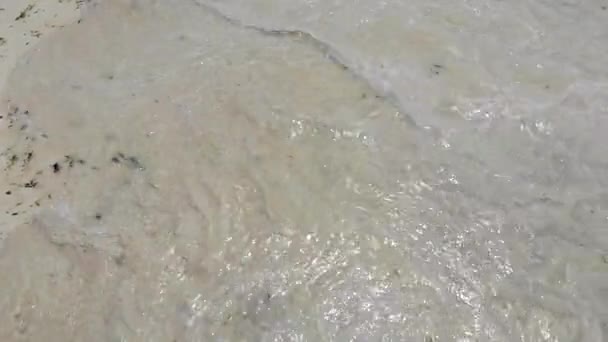 Vista aérea das ondas de água que chegam na areia branca na praia oceânica de Zanzibar, coastile quente coberto com algas freen e animais selvagens diferentes. Shoal de oceano índio — Vídeo de Stock