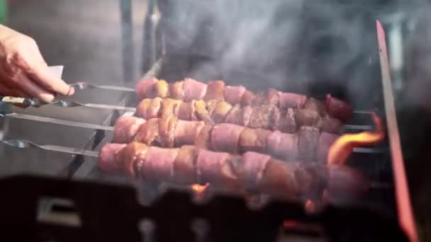 Osoby ruční grilování syrového masa na venkovním grilu, vaření masa grilování na vyhřívaném dřevěném uhlí grilu na pikniku. Skewers s marinovanými kousky masa na BQ mřížce, muž připravuje jídlo pro piknik party — Stock video
