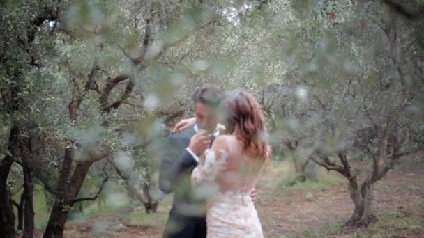 Incrível quadro cinematográfico de jovem casal abraçando no incrível jardim de oliveiras, homem bonito em terno de casamento beijando a mão de sua bela esposa em vestido de renda de leite. cerimónia de casamento, amor e — Vídeo de Stock