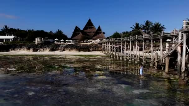 Långt mörkt hår kvinnlig turist promenader långsamt längs stranden full av vilda vattendjur och gröna alger. Flicka i lång blå klänning njuter av sommarsemester och upptäcka nya tropiska och exotiska — Stockvideo