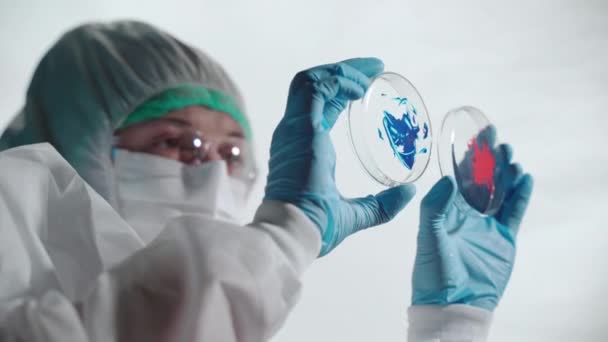 Πιάτα Petri με βακτήρια και δείγματα αίματος σε χέρια επιστημόνων, γιατρός σε προστατευτική κάλυψη κοιτάζοντας τις γυάλινες πλάκες και αναλύοντας χημικές αντιδράσεις. Εργαστηριακές έρευνες υψηλού επιπέδου, εργασίας — Αρχείο Βίντεο