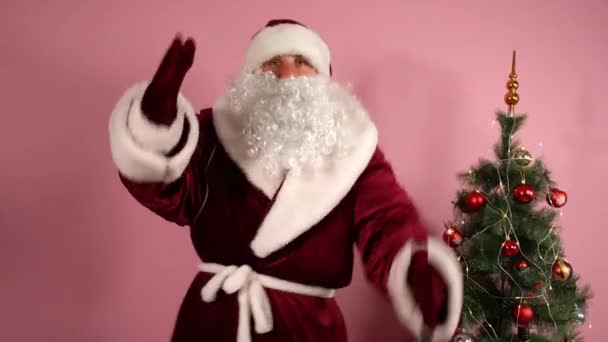 Carefree ευτυχισμένη Άγιος Βασίλης σε κόκκινο κοστούμι, καπέλο, γάντια και με λευκό σγουρά γένια gesticulating με τα χέρια πάνω και κάτω σε ροζ φόντο και διακοσμημένο λαμπερό χριστουγεννιάτικο δέντρο. Σύγχρονη αστεία Σάντα — Αρχείο Βίντεο