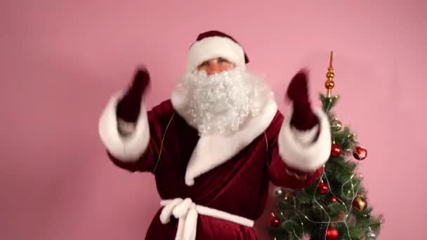 ピンクの背景と小さな装飾されたクリスマスツリーで踊る赤い伝統的なクリスマスの衣装で陽気なサンタクロース、サンタはカメラを見て、赤い手袋で手でジェスチャーします。サンタラッパー — ストック動画