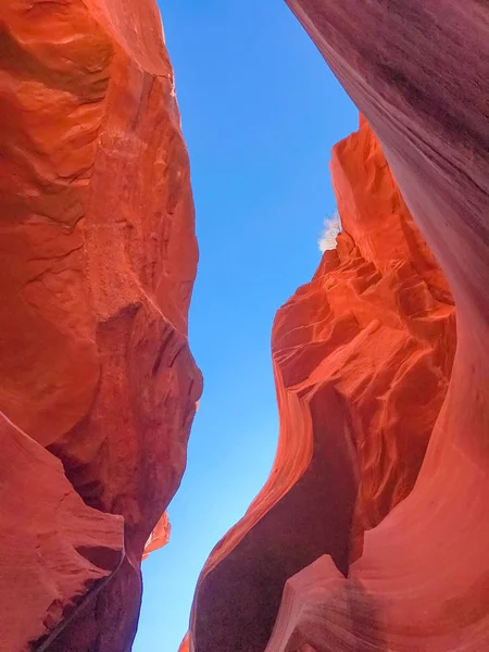 La hermosa arquitectura de la naturaleza hecha desde cero — Foto de Stock