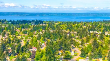 Bahar sezonu boyunca Seattle 'ın yemyeşil ağaçları.