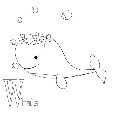 hayvan alfabesi boyama kitabı resimlemesi