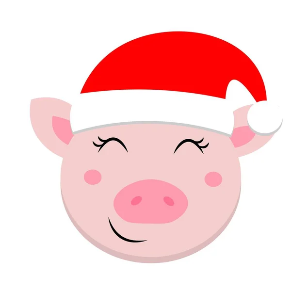 Animal Navidad Santa Claus Sombrero Ilustración — Foto de Stock