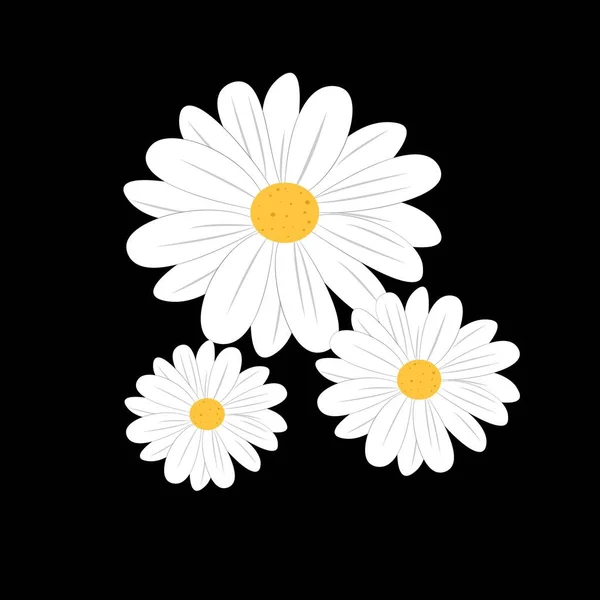 Μαργαρίτα Λουλούδι Χαμομήλι Εικονογράφηση Κινουμένων Σχεδίων — Φωτογραφία Αρχείου