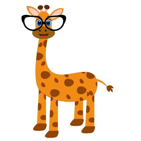 Bonito Animal Desenho Animado Com Óculos Ilustração — Fotografia de Stock