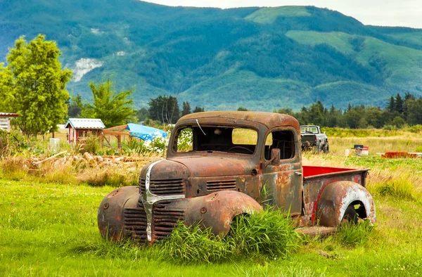 Vintage Pickup Ένα Λιβάδι Στην Ουάσινγκτον Ηπα — Φωτογραφία Αρχείου