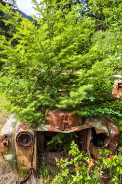 Hurda araba Birkenhead Gölü yakınındaki Pemberton British Columbia Kanada