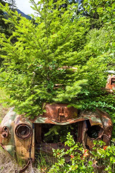 在加拿大不列颠哥伦比亚省彭伯顿附近的伯肯黑德湖报废汽车 — 图库照片