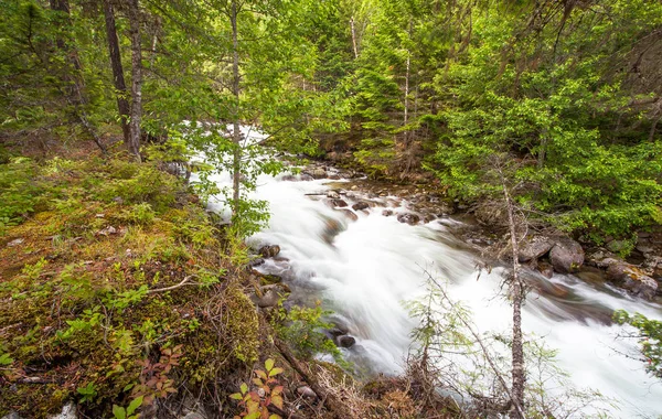 Lillooet gölde Pemberton British Columbia Kanada
