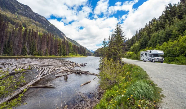 Dalgaların karaya attığı odun görkemli dağ gölü British Columbia Kanada'da