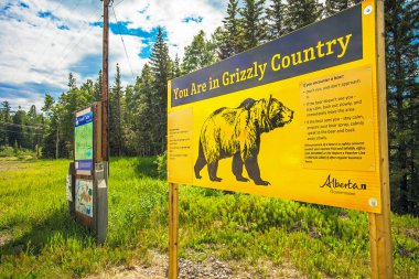 Grande önbellek Alberta Kanada üzerinde 22 Haziran 2018 Grizzlybaer, uyarı